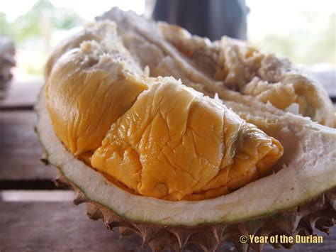 Durian in Philippine Cuisine .